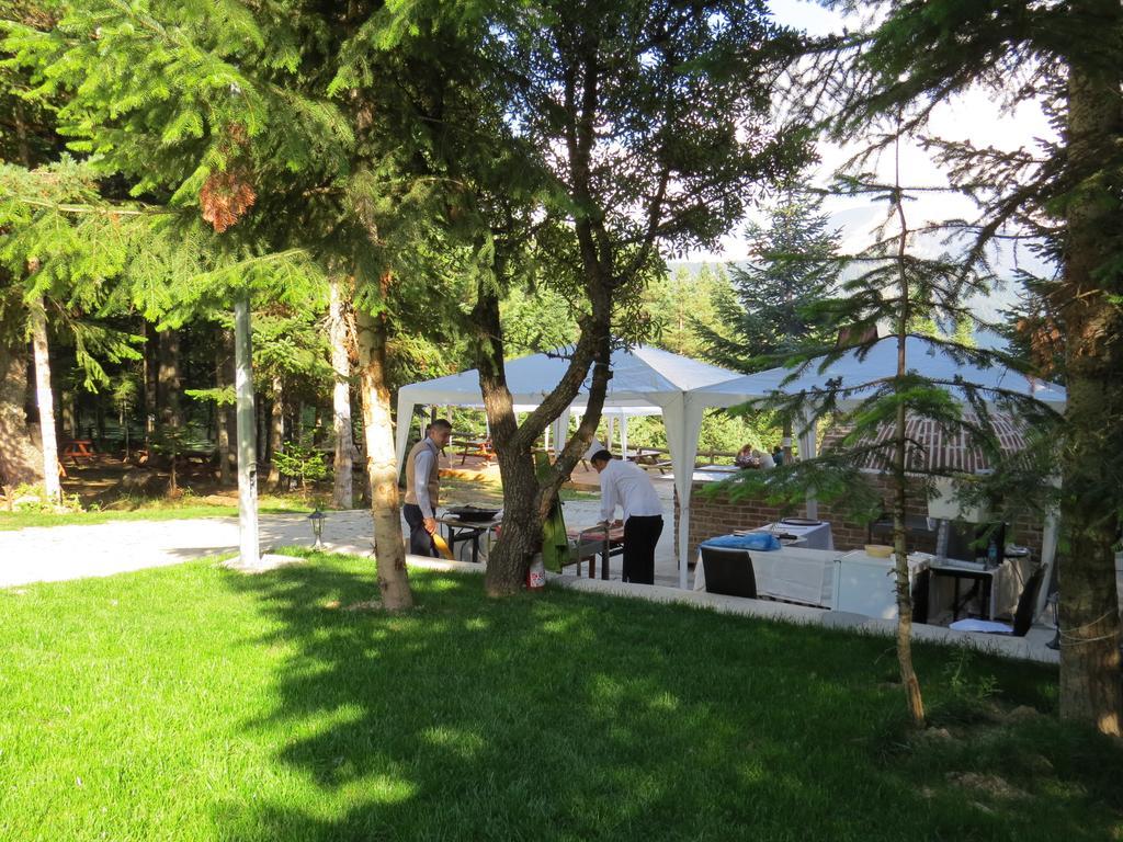Jura Hotels Ilgaz Mountain Resort Kültér fotó