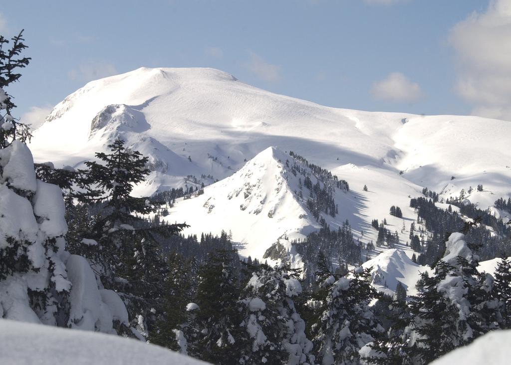 Jura Hotels Ilgaz Mountain Resort Kültér fotó