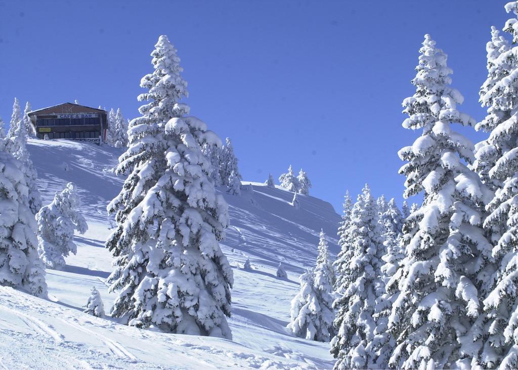 Jura Hotels Ilgaz Mountain Resort Kültér fotó