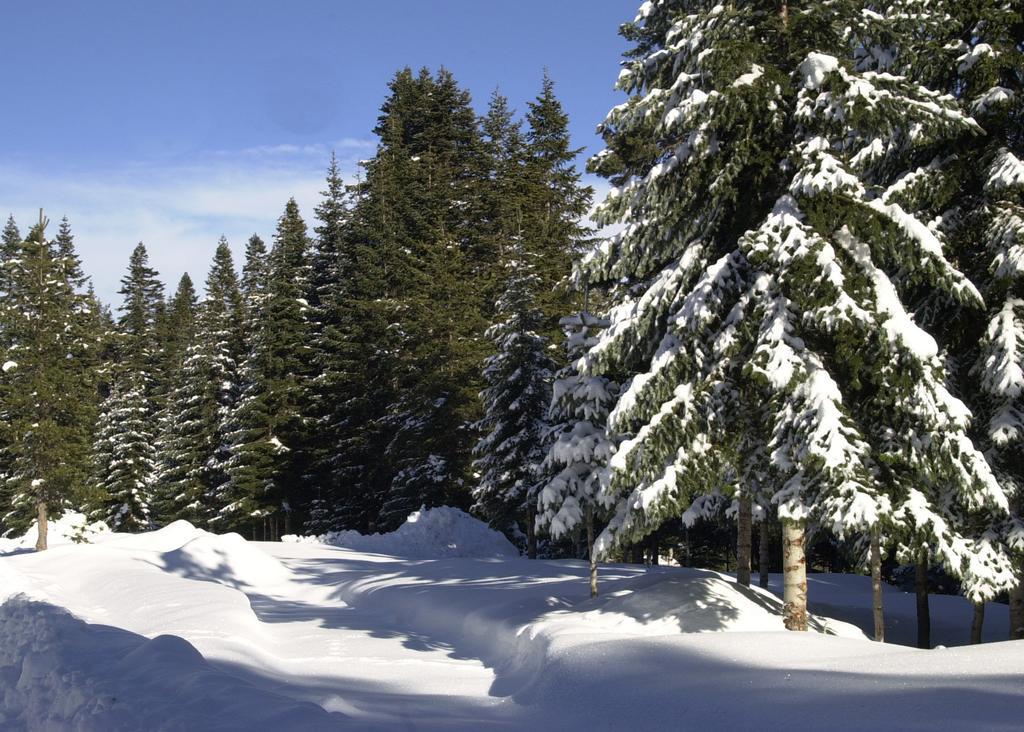 Jura Hotels Ilgaz Mountain Resort Kültér fotó