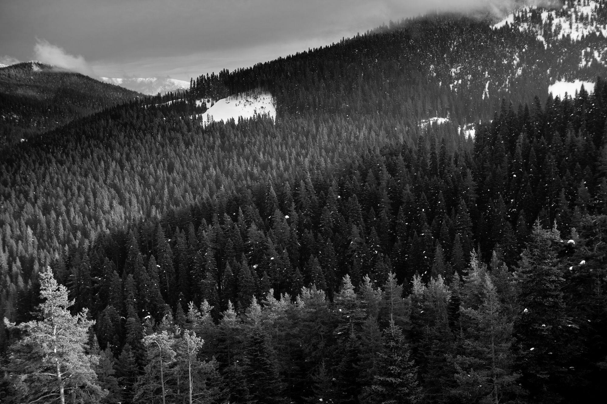 Jura Hotels Ilgaz Mountain Resort Kültér fotó